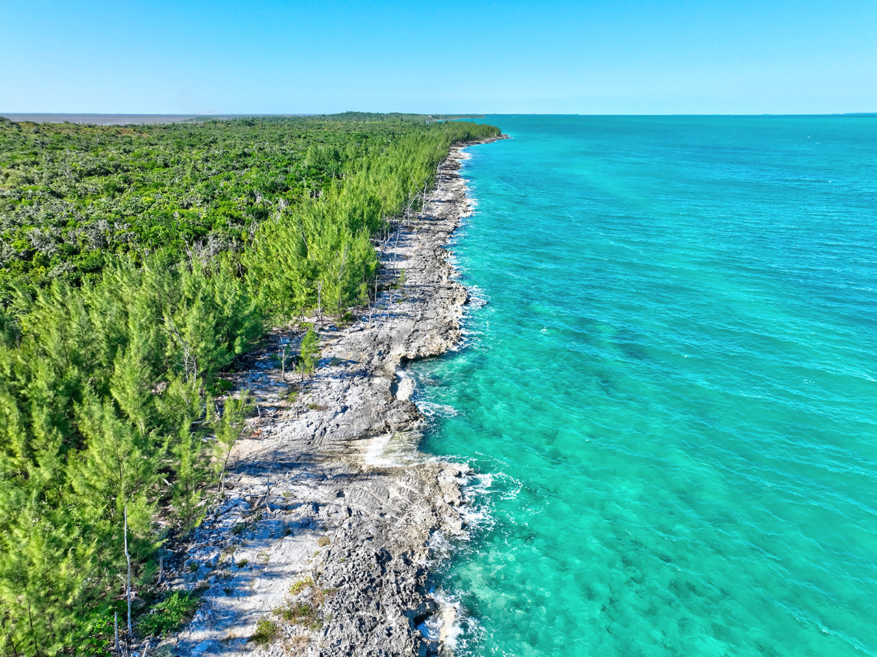 Lot 1 of Grant B84 SC Bootle Highway Abaco Bahamas Featured Image