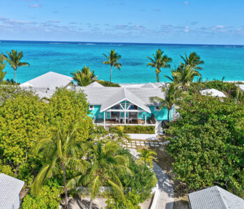 Berrypatch Featured Image