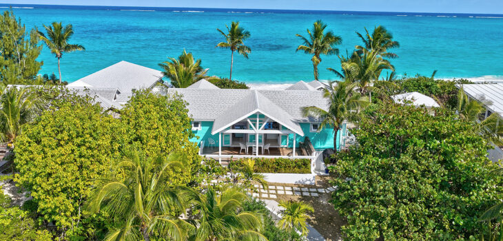 Berrypatch Featured Image