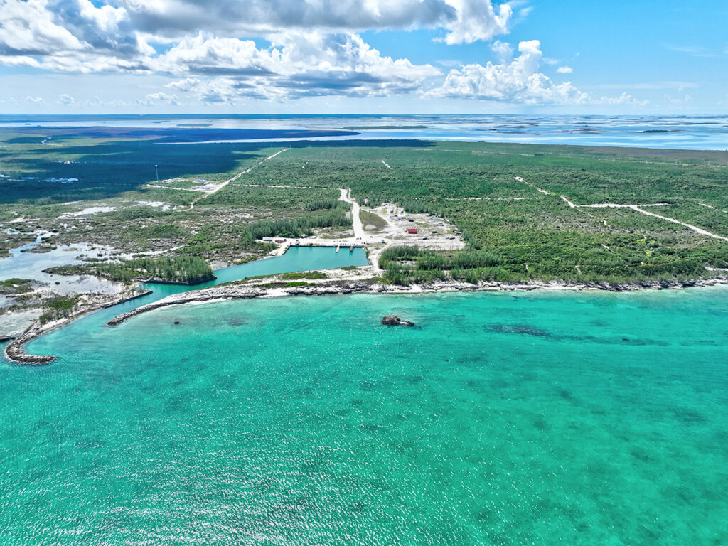 Red Bay Featured Image