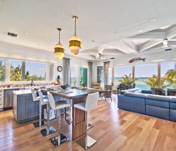 Turtle Pass Featured Image